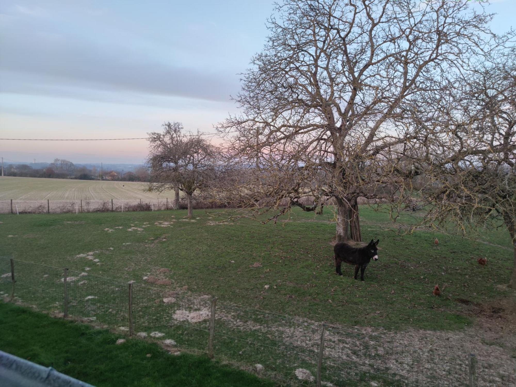 Chambre D Hote Beaumont Pied De Boeuf ภายนอก รูปภาพ